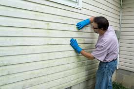 Affordable Siding Repair and Maintenance Services in Provo, UT